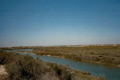 1985 | Camargue, France