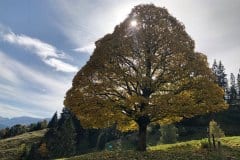 October 13, 2019 | near Gonten, Switzerland