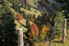 October 14, 2019 | between Kronberg and Schwägalp, Switzerland