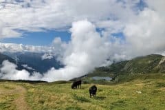 August 14, 2020 | View to the south, Bettmeralp VS, Switzerland