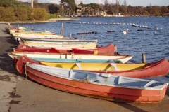 Nov/Dec 1982 | Poole Park, Bournemouth, England