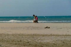 1987_Mediterranean coast, Camargue, France