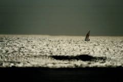 1987_Mediterranean coast, Camargue, France