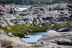 September 1, 2023 | Peggys Cove, Nova Scotia, Canada