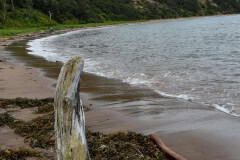 September 3, 2023 | Sandy Cove Beach, Nova Scotia, Canada