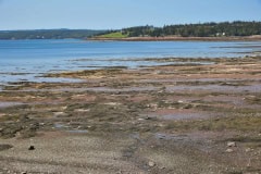 September 5, 2023 | Bay of Fundy, St. Andrews, New Brunswick, Canada