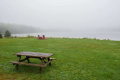 September 6, 2023 | Fundy National Park, New Brunswick, Canada