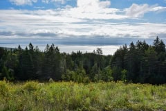 September 6, 2023 | Fundy National Park, New Brunswick, Canada