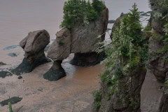 September 6, 2023 | Hopewell Rocks Provincial Park, New Brunswick, Canada