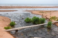 September 7, 2023 | North Rustico Beach, Prince Edward Island National Park, Prince Edward Island, Canada