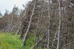 September 7, 2023 | Brackley Beach, Prince Edward Island Nationalpark, Prince Edward Island, Canada