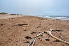 September 7, 2023 | Brackley Beach, Prince Edward Island Nationalpark, Prince Edward Island, Canada