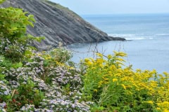 September 9, 2023 | Cabot Trail, Meat Cove, Nova Scotia, Canada