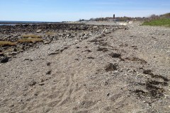 April 30, 2012 | Atlantic coast in Odiorne State Park, New Hampshire, USA