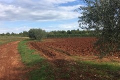 September 15, 2017 | Near Poreč, Croatia