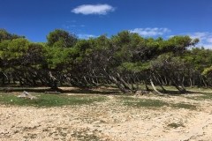 September 21, 2017 | Cape Kamenjak Nature Park, Croatia