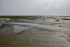 August 20, 2024 | Coast, St. Peter-Ording, Germany