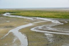 August 20, 2024 | Coast, St. Peter-Ording, Germany