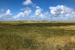 August 21, 2024 | Nationalpark Schleswig Holsteinisches Wattenmeer, St. Peter-Ording, Germany