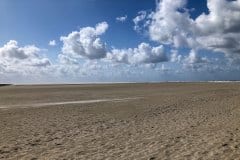 August 21, 2024 | Nationalpark Schleswig Holsteinisches Wattenmeer, St. Peter-Ording, Germany