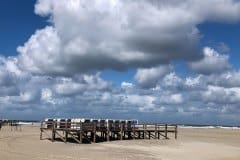 August 21, 2024 | Nationalpark Schleswig Holsteinisches Wattenmeer, St. Peter-Ording, Germany