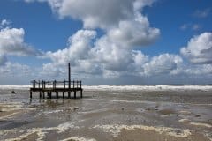 August 21, 2024 | Nationalpark Schleswig Holsteinisches Wattenmeer, St. Peter-Ording, Germany