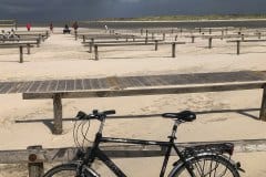 August 21, 2024 | Nationalpark Schleswig Holsteinisches Wattenmeer, St. Peter-Ording, Germany