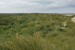 August 24, 2024 | Lakolk Beach, Rømø, Denmark