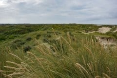 August 24, 2024 | Lakolk Beach, Rømø, Denmark