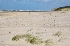 August 25, 2024 | Beach Nymindegab, Hvide Sande, Denmark