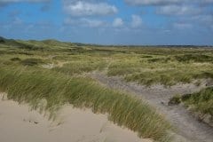 August 25, 2024 | Beach Nymindegab, Hvide Sande, Denmark