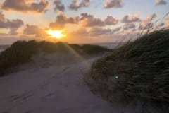 August 25, 2024 | Beach Lyngvig, Hvide Sande, Denmark