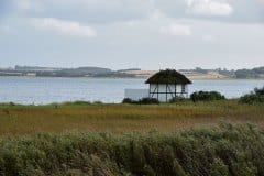 August 26, 2024 | Near Stenøre, Island Fur, Denmark