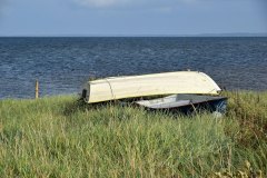 August 26, 2024 | Near Stenøre, Island Fur, Denmark