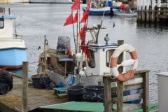 September 2, 2024 | Harbor, Bønnerup Strand, Denmark