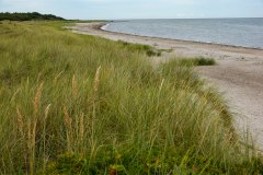 September 2, 2024 | Nationalpark Mols Bjerge, Ebeltoft, Denmark