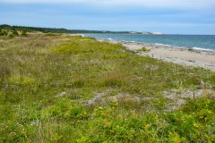 September 2, 2024 | Nationalpark Mols Bjerge, Ebeltoft, Denmark