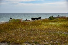 September 2, 2024 | Nationalpark Mols Bjerge, Ebeltoft, Denmark