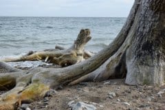 September 2, 2024 | Nationalpark Mols Bjerge, Ebeltoft, Denmark