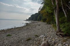 September 4, 2024 | Coast near Hornbæk, Denmark