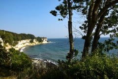 September 5, 2024 | Stevns Klint near Rødvig, Denmark