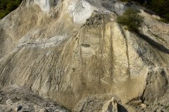 September 7, 2024 | Møns Klint, Borre,  Denmark