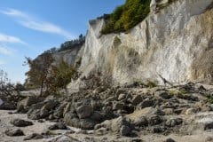 September 7, 2024 | Møns Klint, Borre,  Denmark