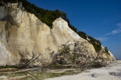 September 7, 2024 | Møns Klint, Borre,  Denmark