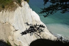 September 7, 2024 | Møns Klint, Borre,  Denmark