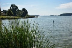 September 8, 2024 | Lake Søndersø, Maribo, Denmark