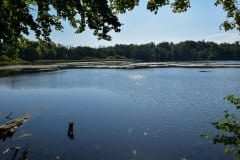 September 8, 2024 | Lake Søndersø, Maribo, Denmark