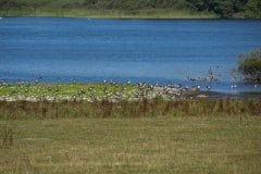 September 8, 2024 | Lake Søndersø, Maribo, Denmark