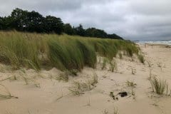 September 16, 2024 | Beach Bansin, Heringsdorf, Germany