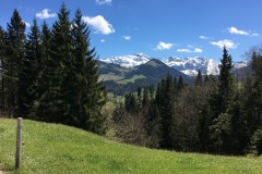 May 10, 2017 | Near Urnäsch AR, view of Säntis